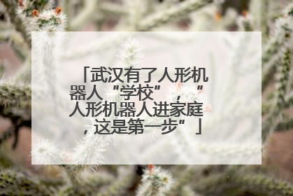 武汉有了人形机器人“学校”，“人形机器人进家庭，这是第一步”