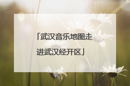 武汉音乐地图走进武汉经开区