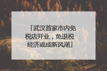 武汉首家市内免税店开业，免退税经济或成新风潮