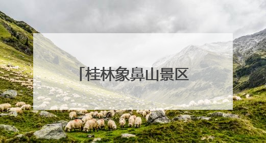 桂林象鼻山景区入园制度反复调整：一年不到又恢复实名制分时预约