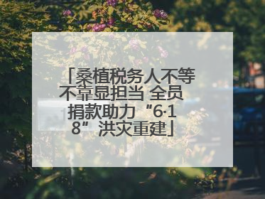 桑植税务人不等不靠显担当 全员捐款助力“6·18”洪灾重建