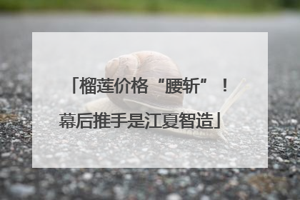 榴莲价格“腰斩”！幕后推手是江夏智造