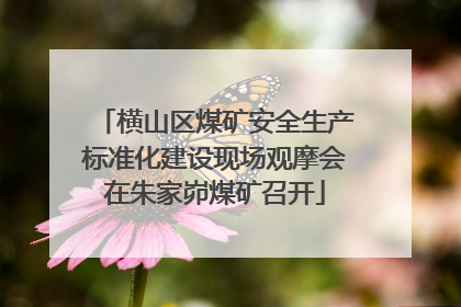 横山区煤矿安全生产标准化建设现场观摩会在朱家峁煤矿召开