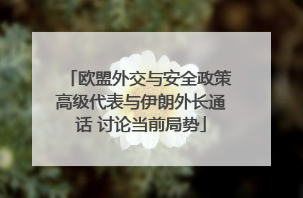 欧盟外交与安全政策高级代表与伊朗外长通话 讨论当前局势