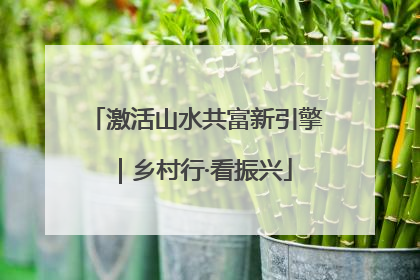 激活山水共富新引擎｜乡村行·看振兴