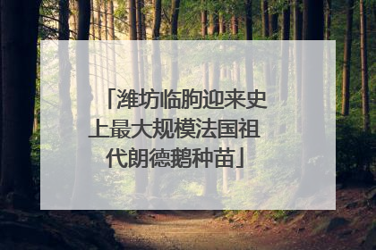 潍坊临朐迎来史上最大规模法国祖代朗德鹅种苗