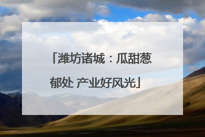 潍坊诸城：瓜甜葱郁处 产业好风光