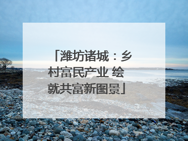 潍坊诸城：乡村富民产业 绘就共富新图景