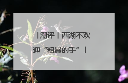 潮评丨西湖不欢迎“粗暴的手”