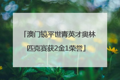 澳门镜平世青英才奥林匹克赛获2金1荣誉