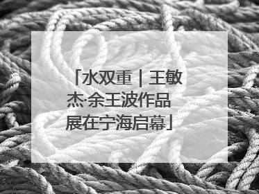 水双重｜王敏杰·余王波作品展在宁海启幕