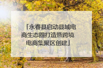 永春县启动县域电商生态圈打造暨跨境电商集聚区创建