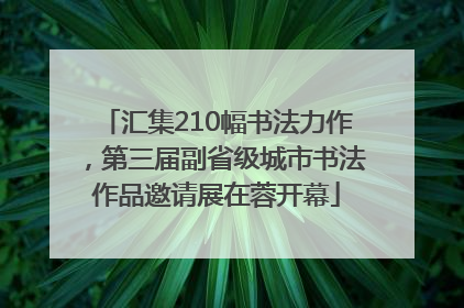 汇集210幅书法力作，第三届副省级城市书法作品邀请展在蓉开幕