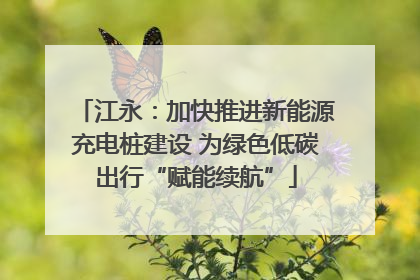 江永：加快推进新能源充电桩建设 为绿色低碳出行“赋能续航”