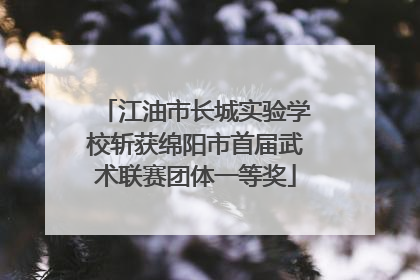 江油市长城实验学校斩获绵阳市首届武术联赛团体一等奖