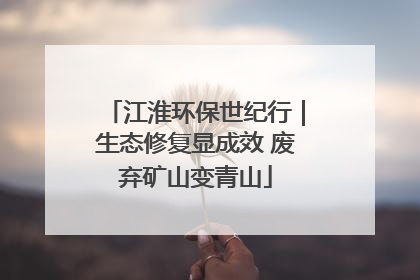 江淮环保世纪行｜生态修复显成效 废弃矿山变青山