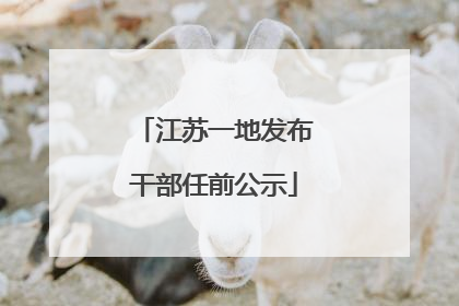 江苏一地发布干部任前公示