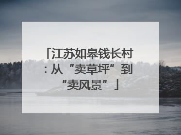 江苏如皋钱长村：从“卖草坪”到“卖风景”