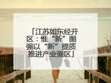 江苏如东经开区：惟“新”图强以“新”提质推进产业强区