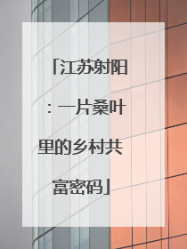 江苏射阳：一片桑叶里的乡村共富密码