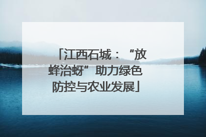 江西石城：“放蜂治蚜”助力绿色防控与农业发展