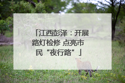 江西彭泽：开展路灯检修 点亮市民“夜行路”