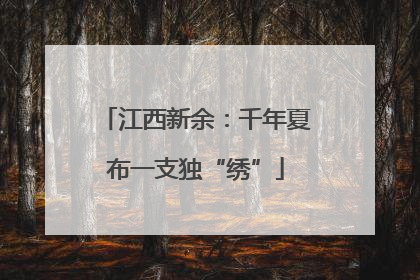 江西新余：千年夏布一支独“绣”