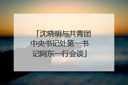 沈晓明与共青团中央书记处第一书记阿东一行会谈