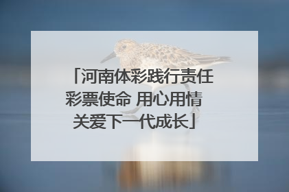 河南体彩践行责任彩票使命 用心用情关爱下一代成长
