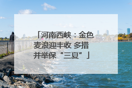 河南西峡：金色麦浪迎丰收 多措并举保“三夏”