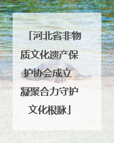 河北省非物质文化遗产保护协会成立 凝聚合力守护文化根脉