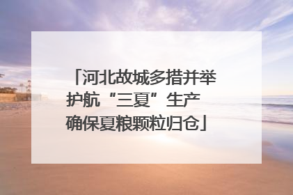 河北故城多措并举护航“三夏”生产 确保夏粮颗粒归仓