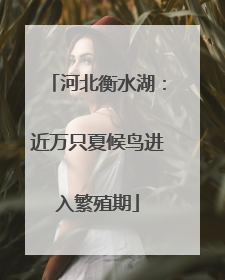 河北衡水湖：近万只夏候鸟进入繁殖期