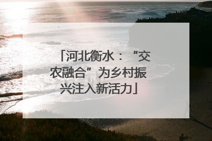 河北衡水：“交农融合”为乡村振兴注入新活力
