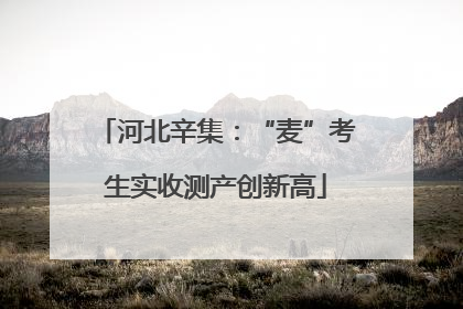 河北辛集：“麦”考生实收测产创新高