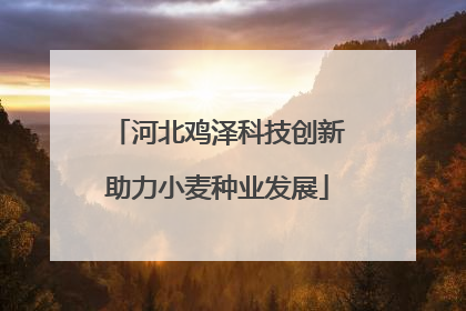 河北鸡泽科技创新助力小麦种业发展