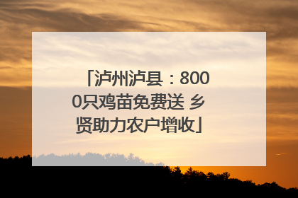 泸州泸县：8000只鸡苗免费送 乡贤助力农户增收