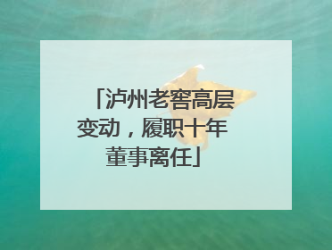 泸州老窖高层变动，履职十年董事离任