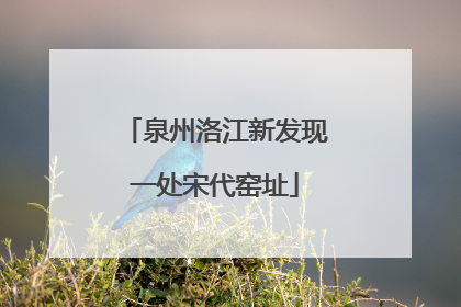 泉州洛江新发现一处宋代窑址