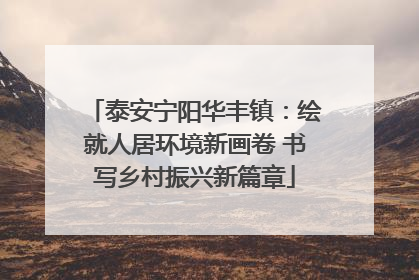 泰安宁阳华丰镇：绘就人居环境新画卷 书写乡村振兴新篇章