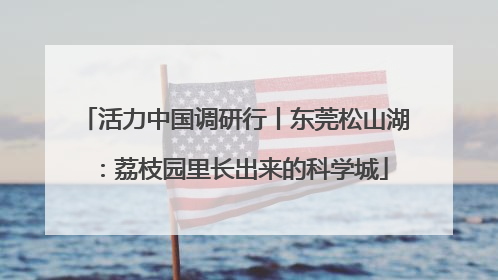 活力中国调研行丨东莞松山湖：荔枝园里长出来的科学城