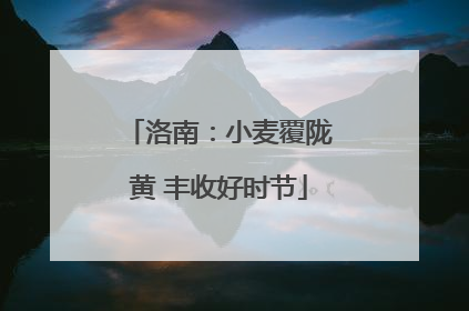 洛南：小麦覆陇黄 丰收好时节
