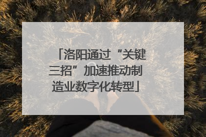 洛阳通过“关键三招”加速推动制造业数字化转型