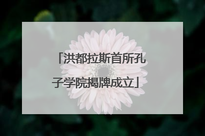 洪都拉斯首所孔子学院揭牌成立