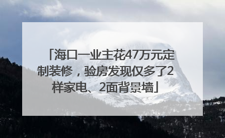海口一业主花47万元定制装修，验房发现仅多了2样家电、2面背景墙