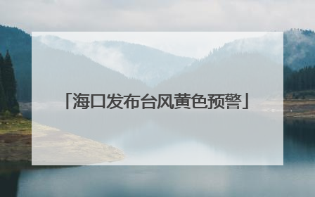 海口发布台风黄色预警