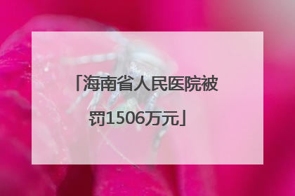 海南省人民医院被罚1506万元