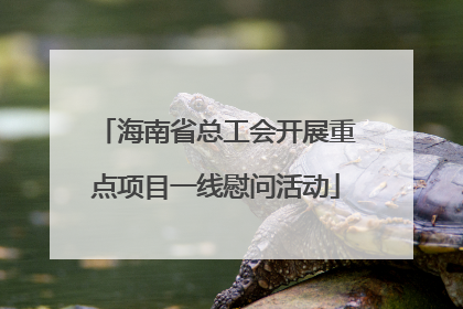 海南省总工会开展重点项目一线慰问活动