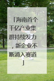 海南首个千亿产业集群持续发力，新企业不断涌入赛道