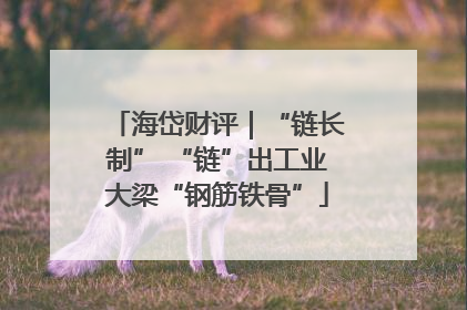 海岱财评｜“链长制” “链”出工业大梁“钢筋铁骨”